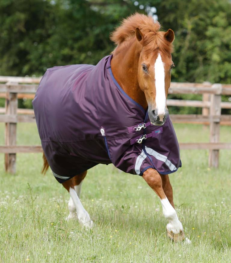 Premier Equine - Výběhová deka Titan (200g)