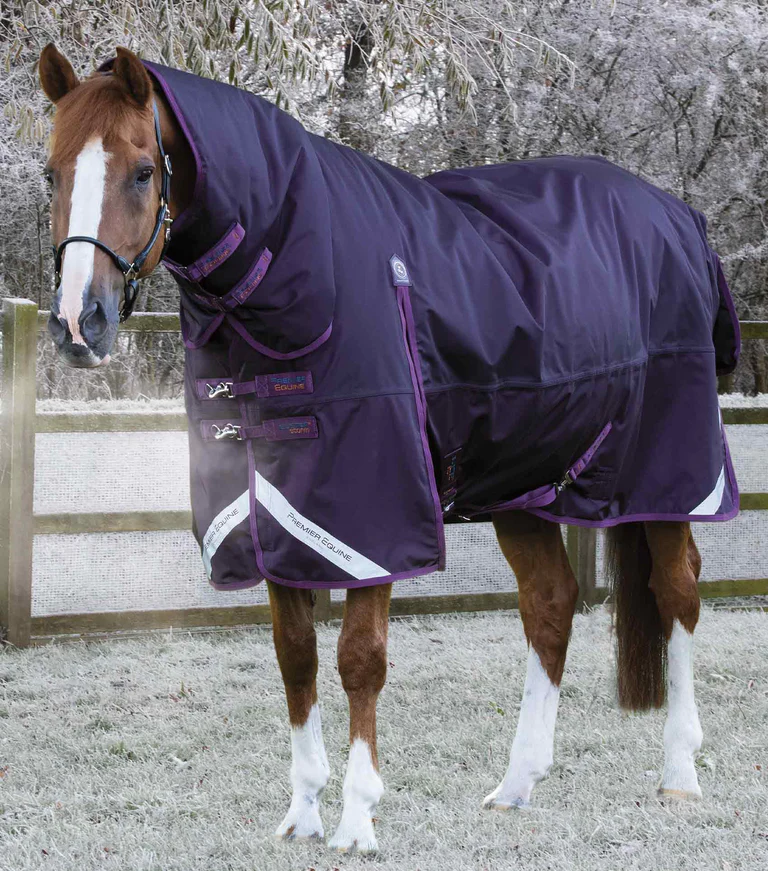 Premier Equine - Výběhová deka s pevným krkem Buster Storm Combo (420g)