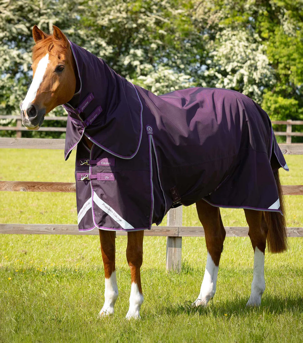 Premier Equine - Výběhová deka s odnímatelným krkem Buster (70g)