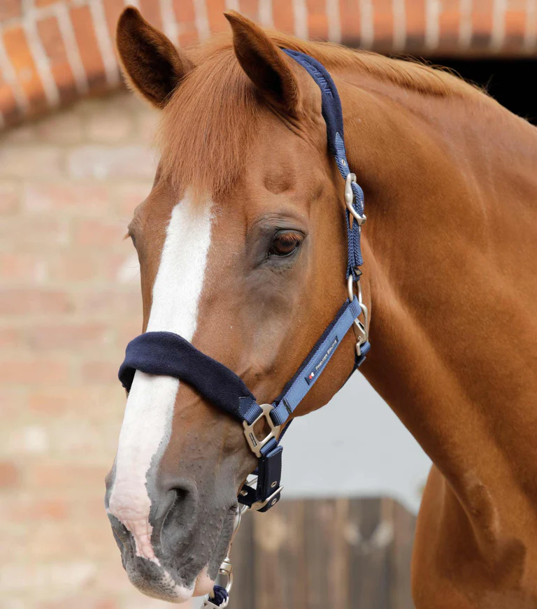 Premier Equine - Ohlávka s fleece polstrováním