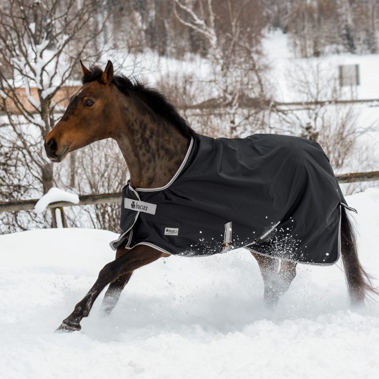 Bucas - Výběhová deka Anniversary Turnout Stay-dry (SD) (150 g)