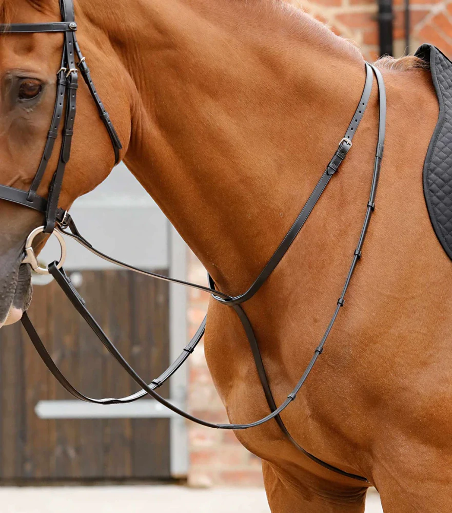 Premier Equine - Martingal Gressan