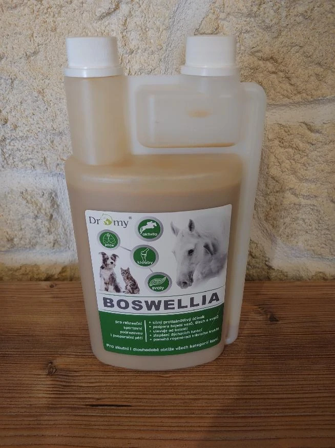 Dromy - Boswellia liquid 1000 ml