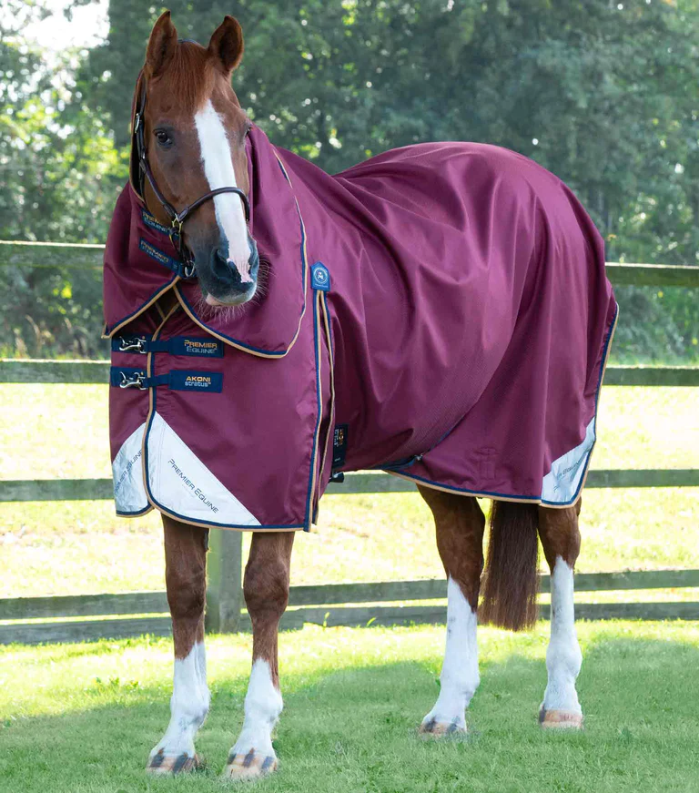 Premier Equine - Výběhová deka s krkem Akoni (0g)