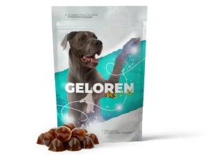 Geloren - Dog L-XL