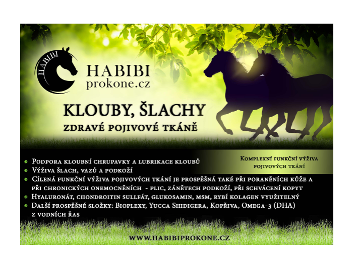 Habibi - KLOUBY, ŠLACHY, ZDRAVÉ POJIVOVÉ TKÁNĚ - 3kg