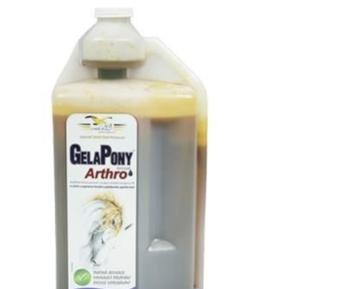 Gelapony - Arthro Biosol sol 3000ml