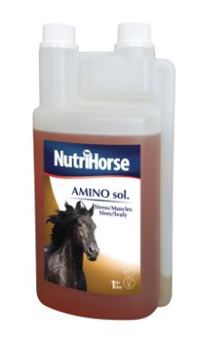 Nutri Horse - AMINO sol. 1000 ml
