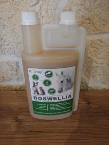 Dromy - Boswellia liquid 1000 ml