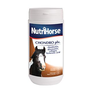 Nutri Horse - Chondro pulvis 1000g