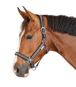 Waldhausen - Ohlávka ATHLETIC