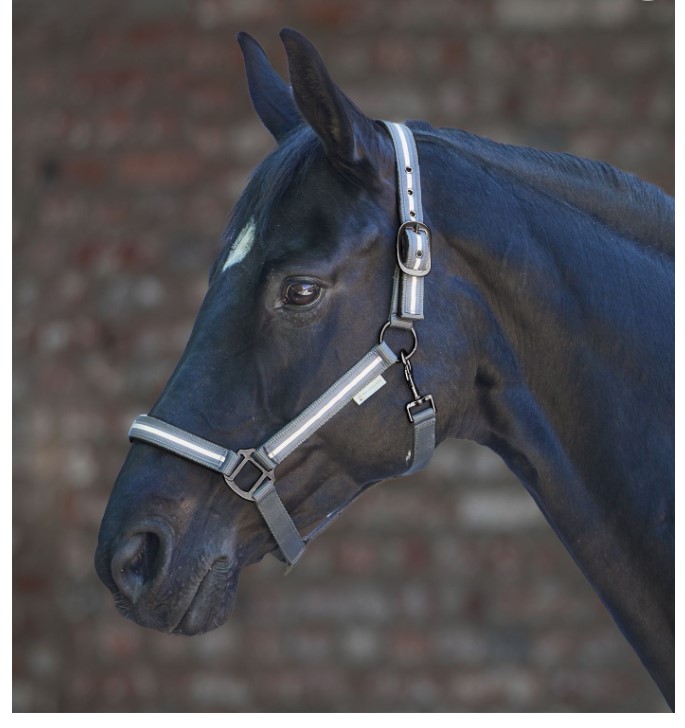 Waldhausen - Ohlávka Reflex