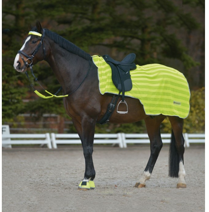 Waldhausen - Reflexní bederní deka