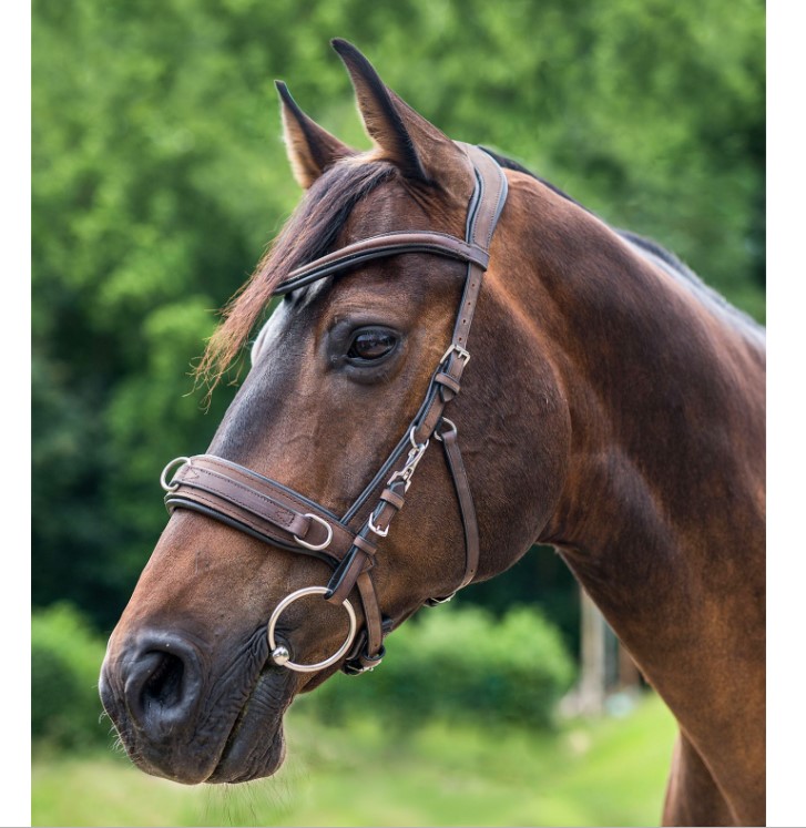 Waldhausen - Lonžovací obnosek kožený