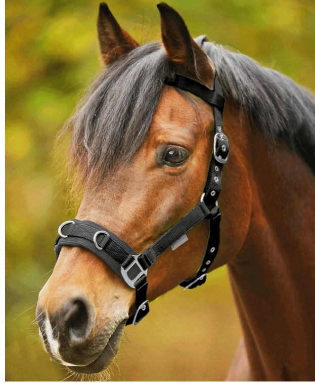 Waldhausen - Lonžovací obnosek nylonový