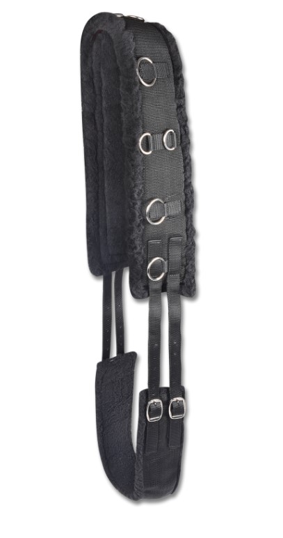 Waldhausen - Lonžovací obřišník