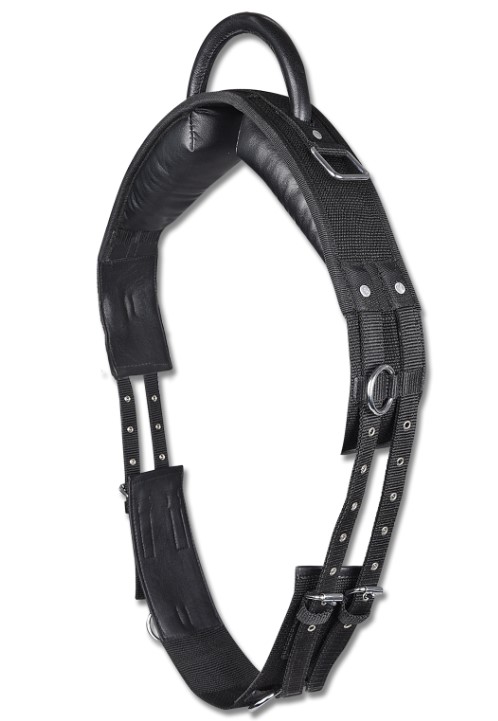 Waldhausen - Lonžovací obřišník s madlem