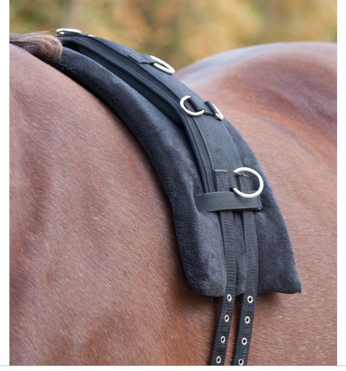 Waldhausen - Lonžovací obřišník