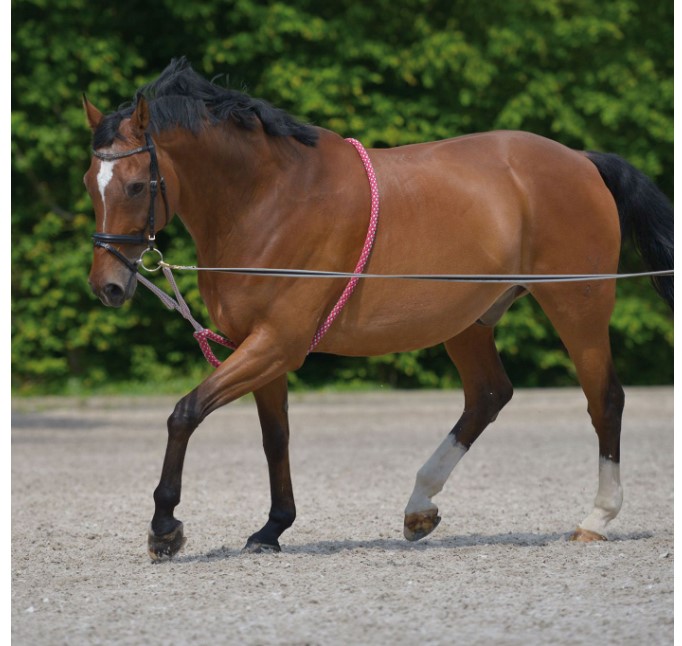 Waldhausen - Lonžovací pomůcka (postroj)