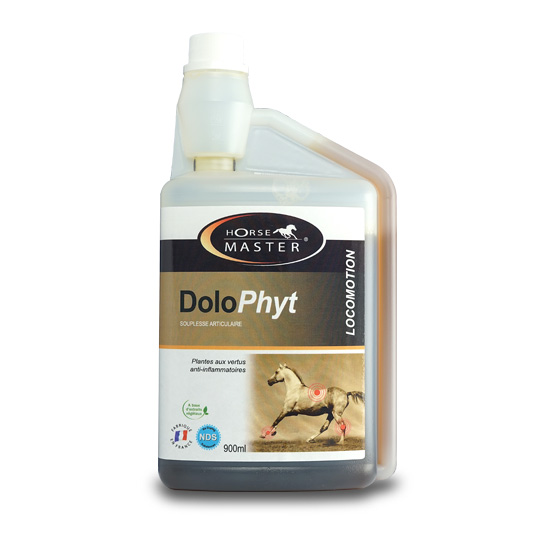 Horse Master - DOLOPHYT 450 ml