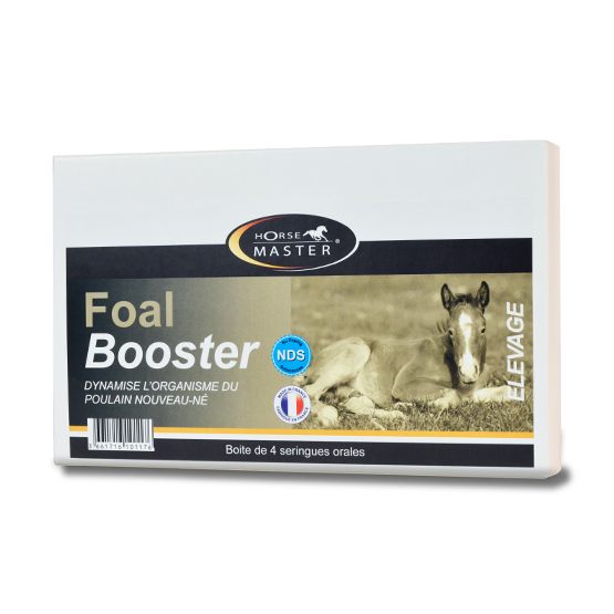Horse Master - FOAL BOOSTER (pasta 4 x 15 ml) 60 ml