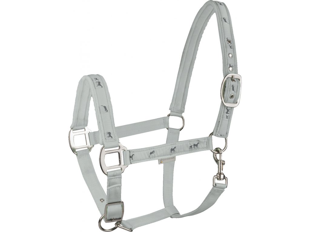 Waldhusen - Ohlávka Koník