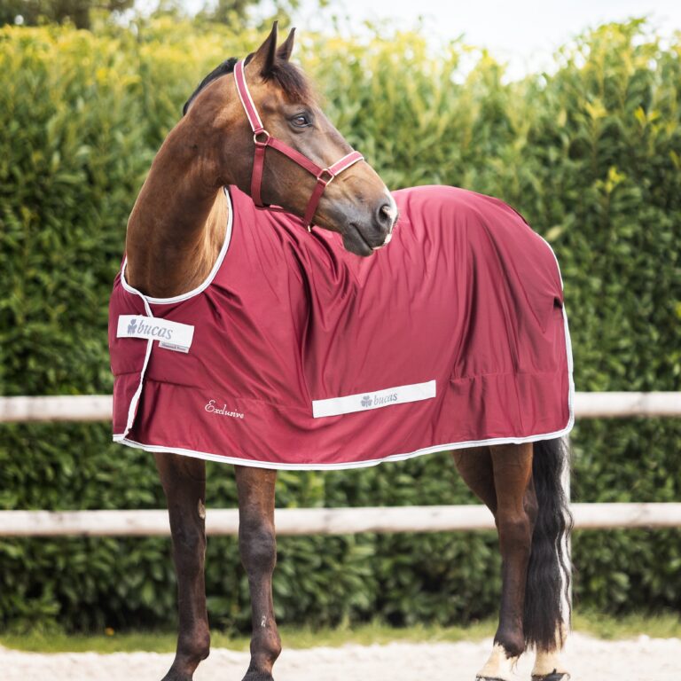 Bucas - Shamrock Exclusive - Odpocovací deka