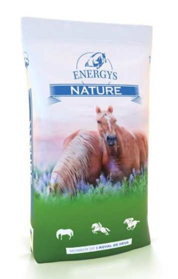 Energys - Cornflakes - Kukuřičné vločky