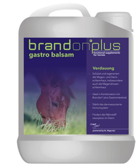 BRANDON Plus - Gastro Balsam 2,5 l