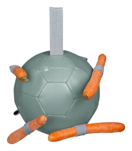 Waldhausen - Míč na mrkev