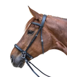 Star - Bezudidlová uzdečka