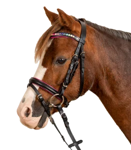 Star - Uzdečka Bridle Pinky