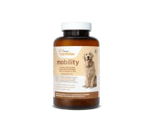 Canifelox - Mobility 