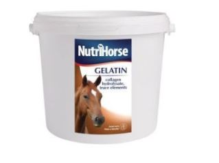 Nutri Horse - Gelatin 1 kg