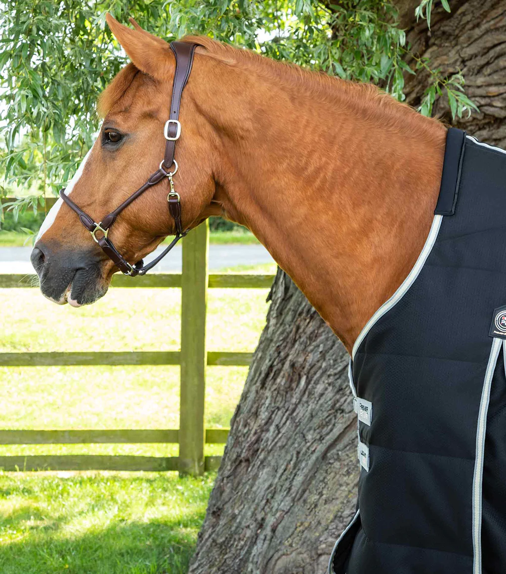 Premier Equine - Stájová deka Lucanta Demi (100g)