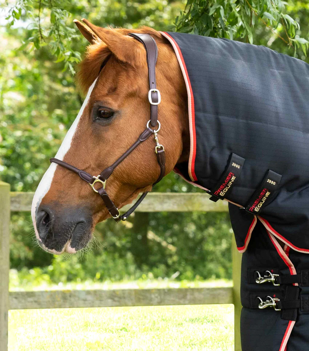 Premier Equine - Stájová deka s odnímatelným krkem Buster (200g)
