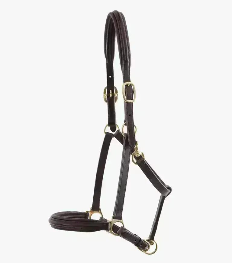 Premier Equine - Kožená ohlávka s polstrováním Rego 