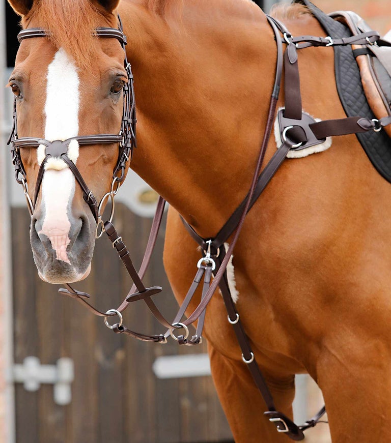 Premier Equine - Pětibodový poprsník Invorio 