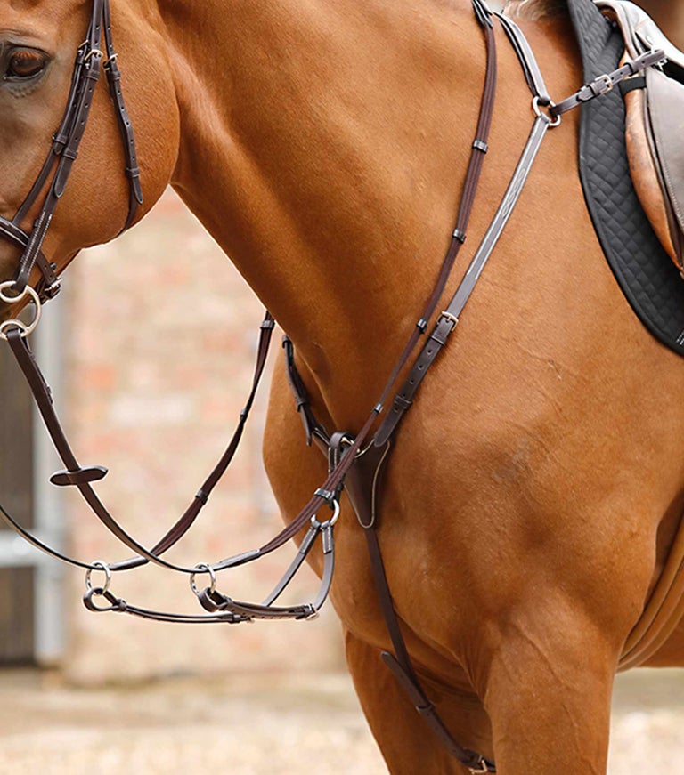 Premier Equine - Poprsník Norbello Hunter