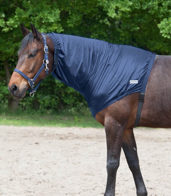 Waldhausen - Ekzém Krční díl