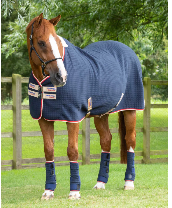 PE - Odpocovací deka PremTex