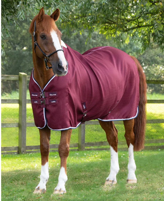 PE - Odpocovací deka Buster Waffle Horse Cooler