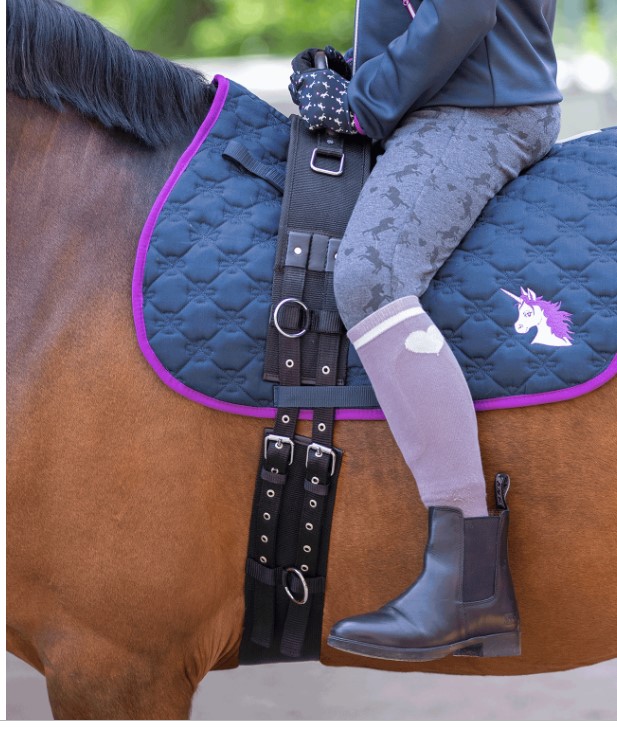 Waldhausen - Lonžovací obřišník s madlem