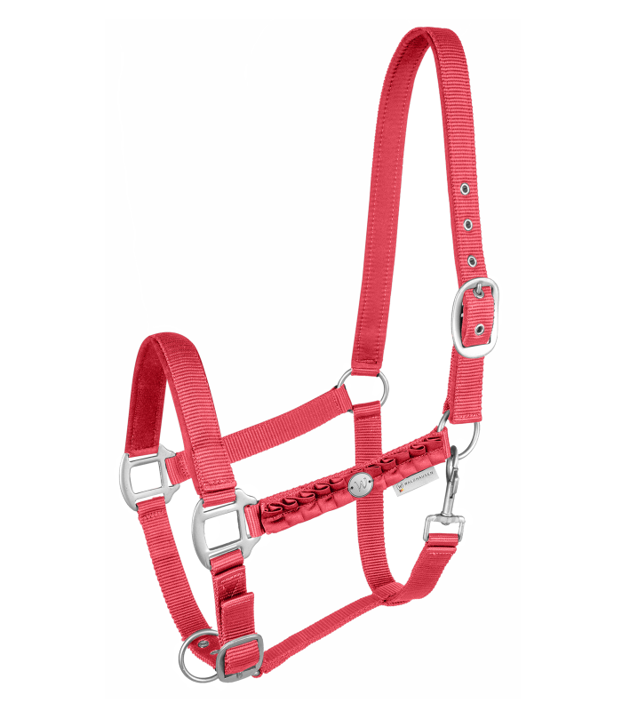 Waldhausen - Ohlávka Florence