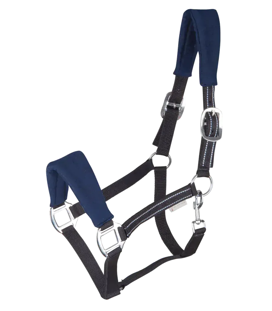 Waldhausen - Ohlávka Alcantara