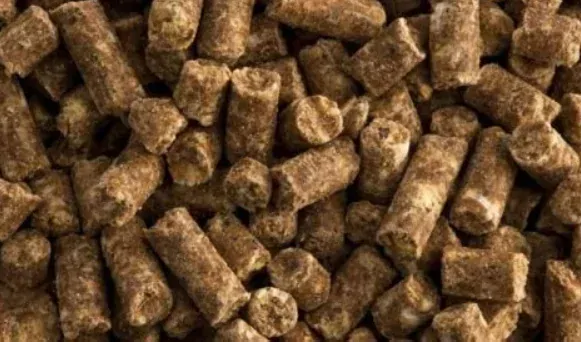 ST Hippolyt - Super Condition 20 kg