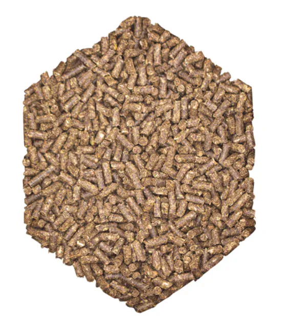 ST Hippolyt - WES - Basic Crunch