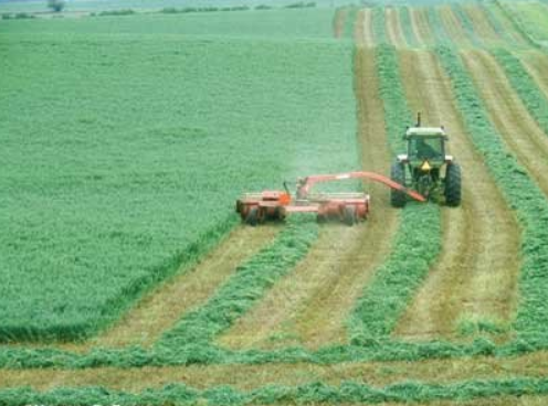 Vojtěška - Granulovaná 15 kg