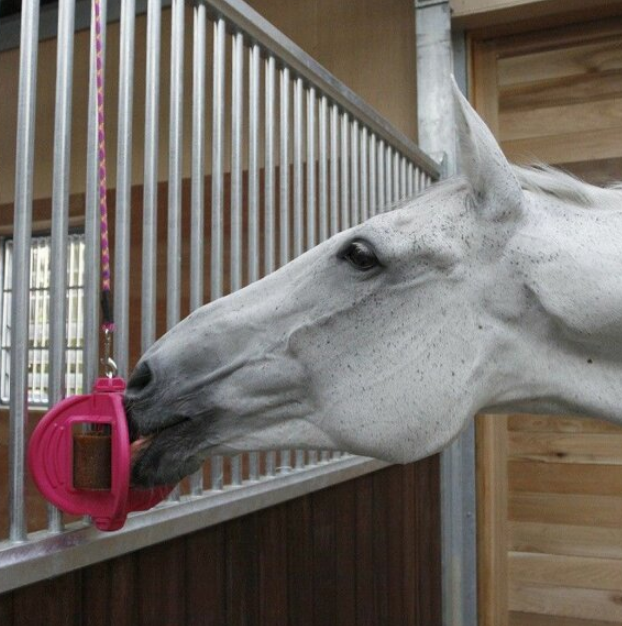 Bizzy Ball - Hračka pro koně