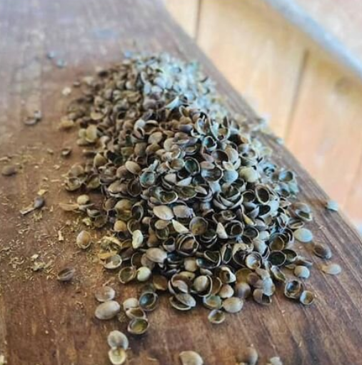 Zelená Země - Konopné otruby 1 kg